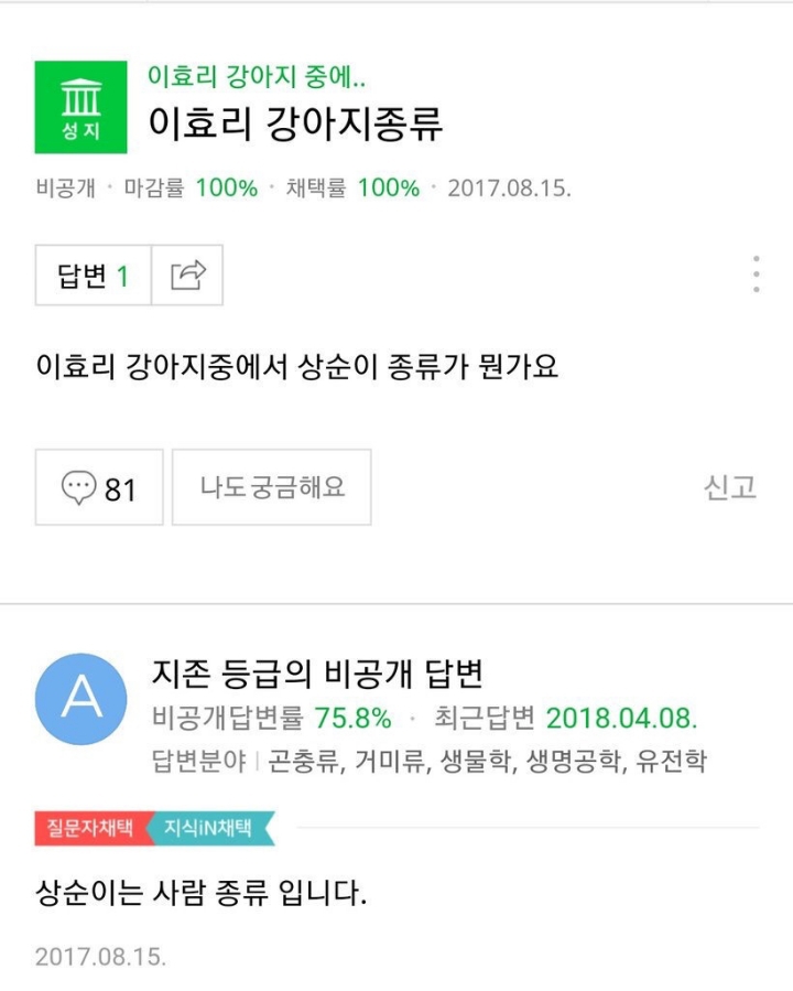 이효리 강아지 중에서....jpg | 인스티즈