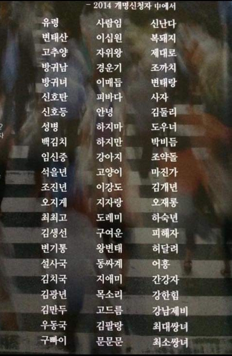 2014년 개명을 신청한 사람들의 이름 | 인스티즈