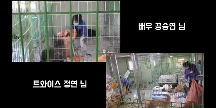 바쁜 와중에 봉사하러 간 공승연&amp; 트와이스 정연 | 인스티즈