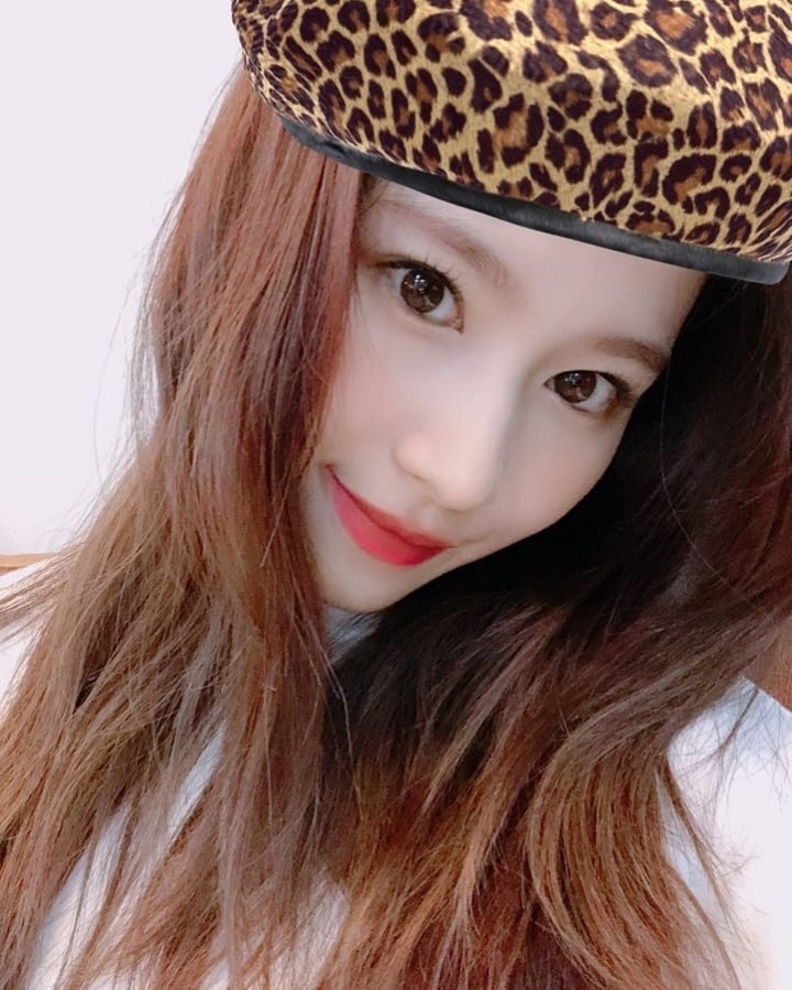트와이스 사나 인스타그램 | 인스티즈