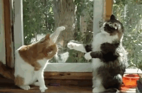 격하게 싸우는 아이린과 슬기 | 인스티즈