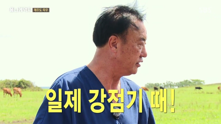 일본이 수탈해간 우리의 흑우.jpg | 인스티즈