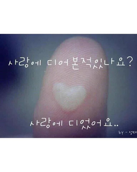 연인과 헤어졌을 때 쓰기 좋은 프사 | 인스티즈