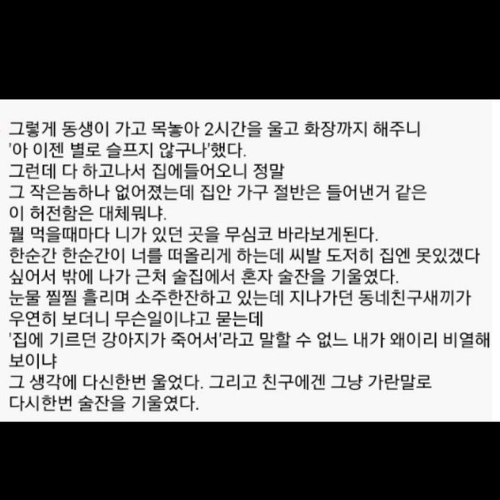 강아지 다시는 안키운다.jpg | 인스티즈