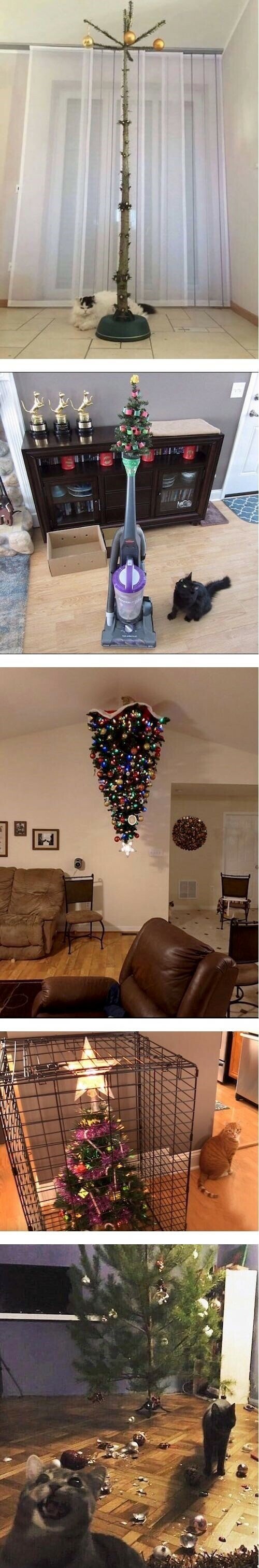 고양이 키우는 사람들의 크리스마스 트리.jpg | 인스티즈