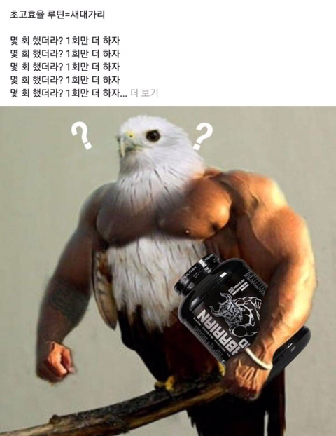 운동하는 남자를 만나야하는 이유 | 인스티즈