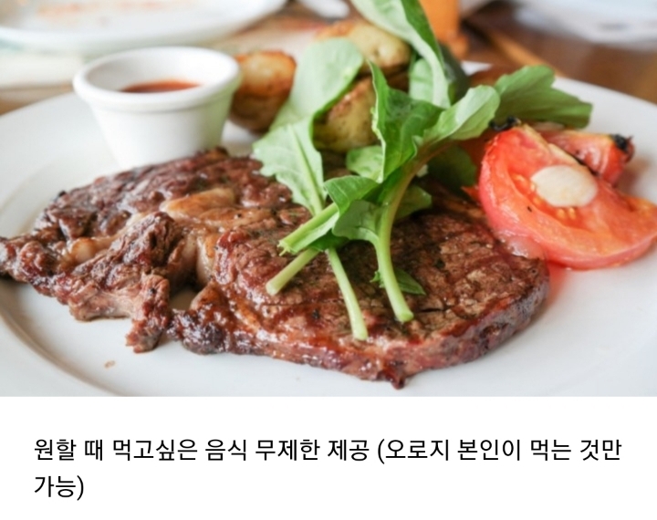 2020년부터 인간의 3대 욕구 중 한가지 능력이 주어진다면? | 인스티즈