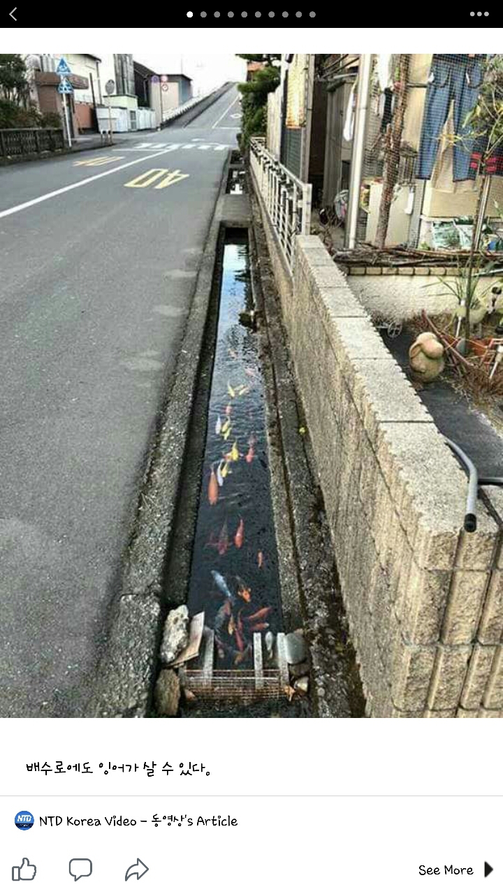 서양에서 일본을 신기하게 생각하는 이유 | 인스티즈