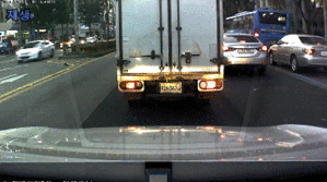 ??? : 저는 작고 귀여우니깐 좀 지나갈게요.gif | 인스티즈