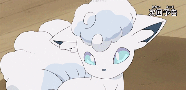 자신이 가장 귀여워 하는 포켓몬은? | 인스티즈