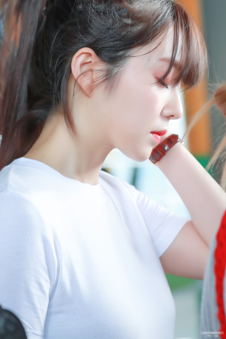 아직 운전면허 딸 생각이 없다는 레드벨벳 아이린 | 인스티즈