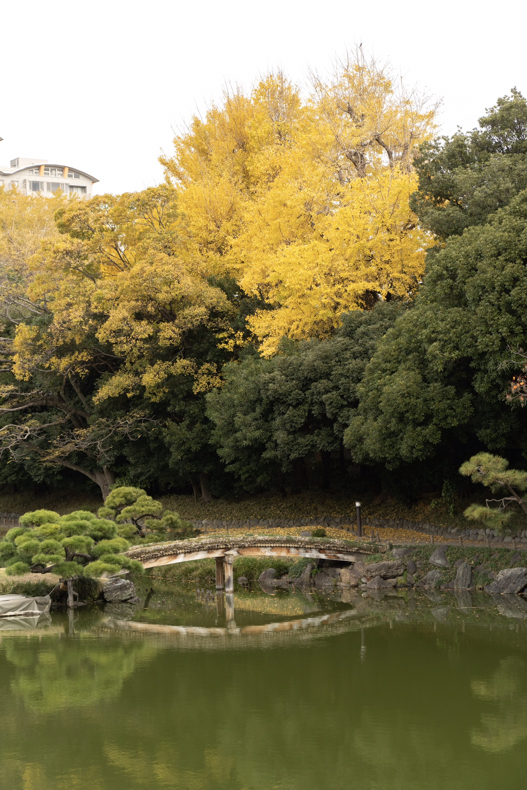 2018년 찍었던 사진 중 맘에 드는 것들 | 인스티즈