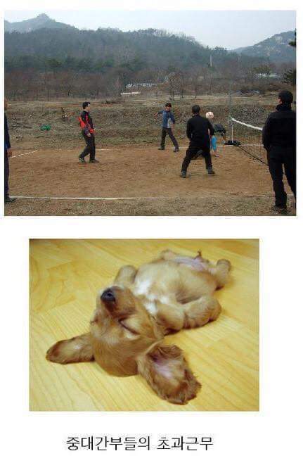 군대 행정병 공감 | 인스티즈