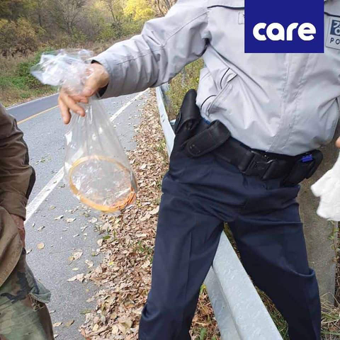 혐주의] 11월 4일 금산에서 아스팔트에 갈려 처참하게 학대와 살해당한 강아지 | 인스티즈