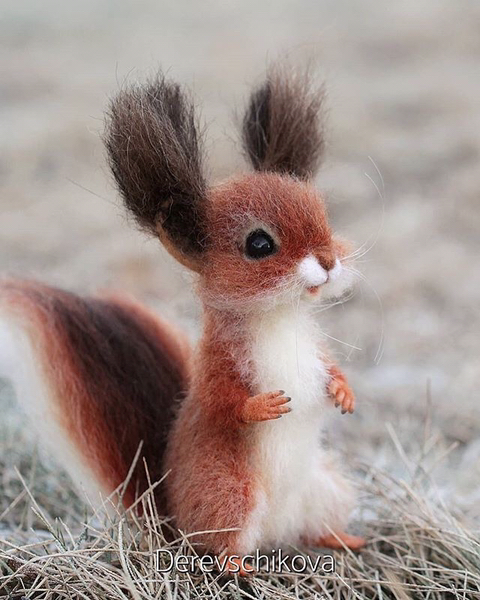 러시아 유명 동물 인형 제작자.jpg | 인스티즈