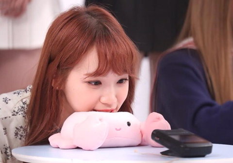 아이즈원) 기자들이 햇갈려하는 유리 예나 채원 | 인스티즈