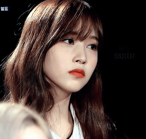 미나리 콘서트에서 2행시 ㅋㅋㅋㅋㅋㅋㅋ | 인스티즈