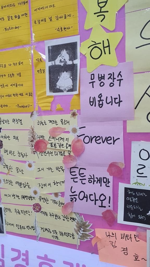 다른 가수 콘서트도 내 콘서트로 만들던 경호누나 | 인스티즈