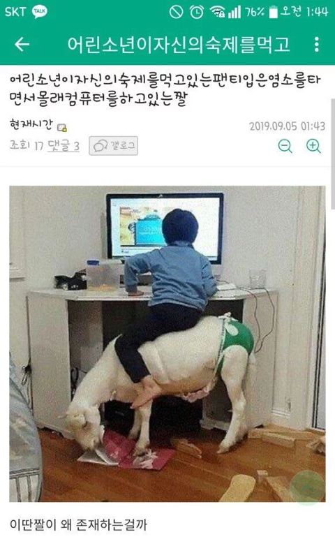 어린소년이자신의숙제를먹고있는팬티입은염소를타면서몰래컴퓨터를하고있는짤.jpg | 인스티즈