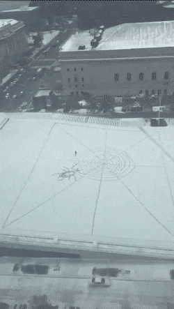 큰 그림을 그리는 사람.gif | 인스티즈