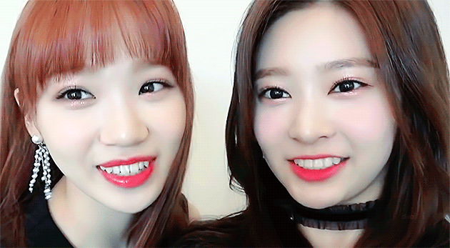 아이즈원) 쌈구리 둘 중에 하나만~ | 인스티즈