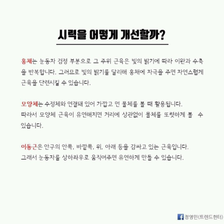 시력 0.3을 1.5로 만드는 기적의 마츠자키 시력 회복 운동 | 인스티즈