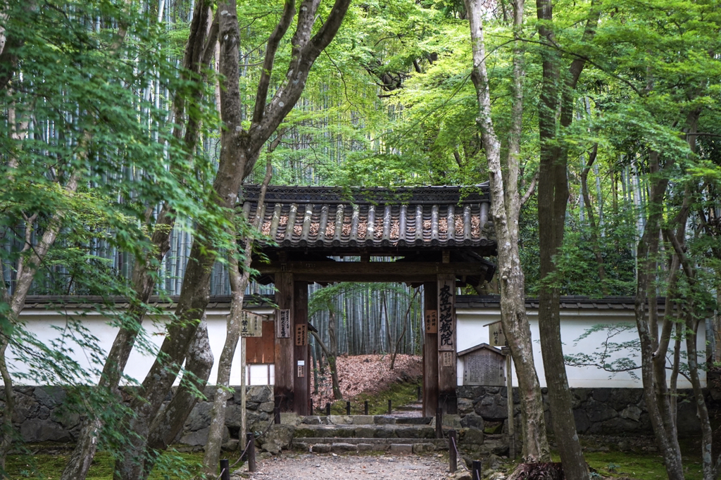 2018년 찍었던 사진 중 맘에 드는 것들 | 인스티즈