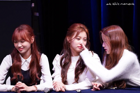 아이즈원) 워뇽광배쌈무 | 인스티즈