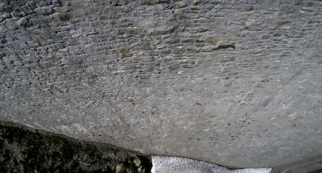 인간이 만든 댐을 타고 다니는 동물.jpgif | 인스티즈