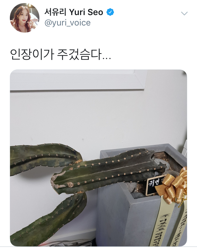 인장이가 죽어 슬픈 서유리 | 인스티즈