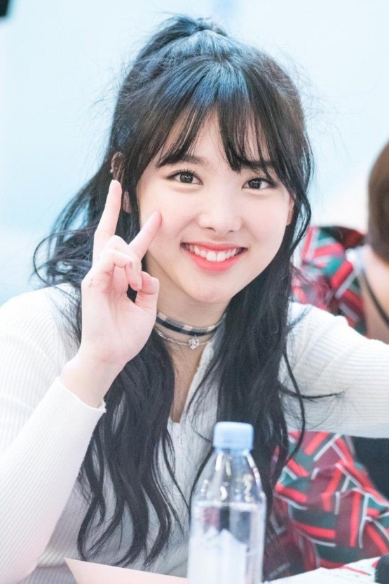 트와이스 최애돌.jpgif | 인스티즈