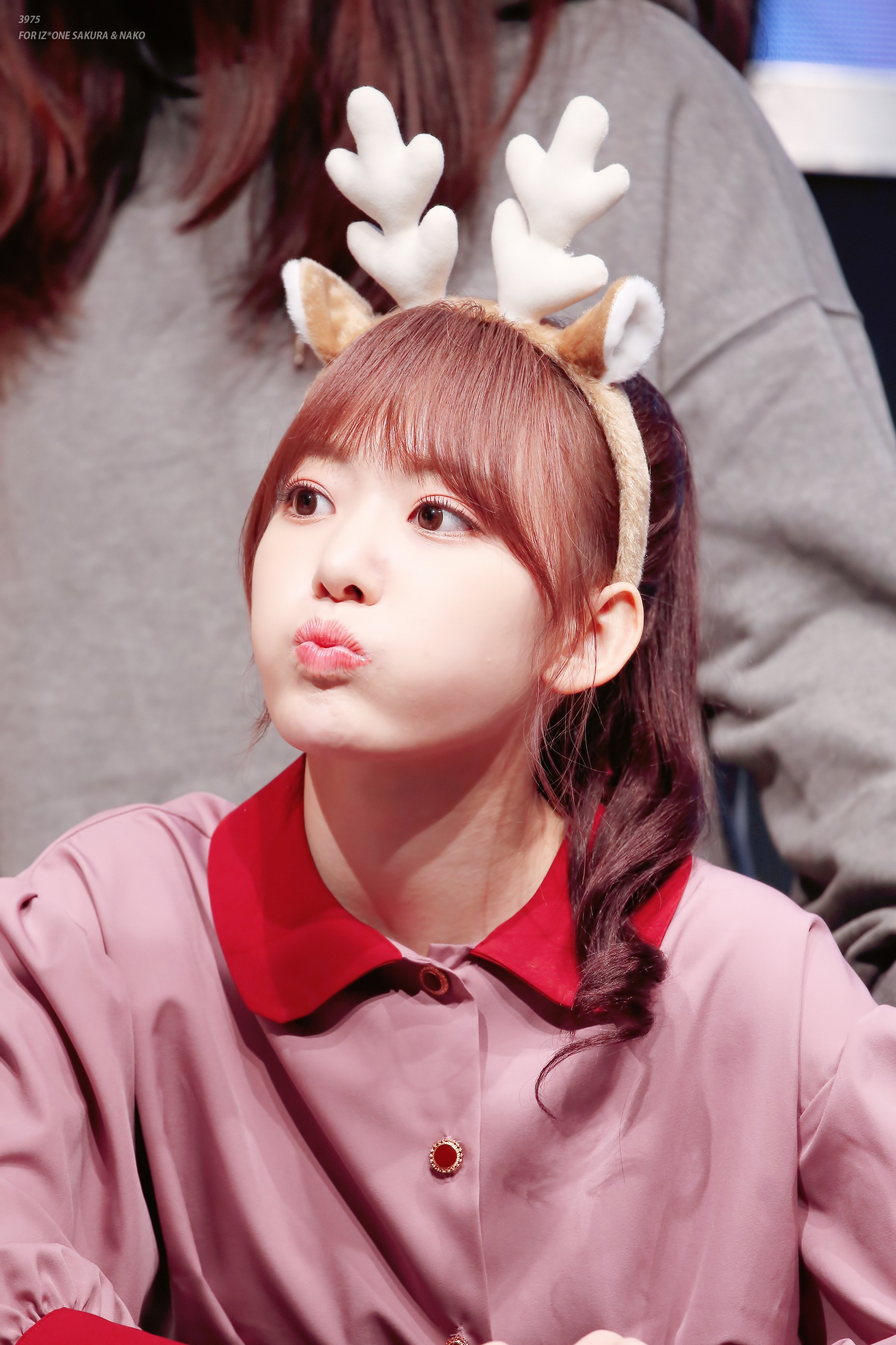 포니테일이 잘어울리는 아이즈원 사쿠라.jpg | 인스티즈