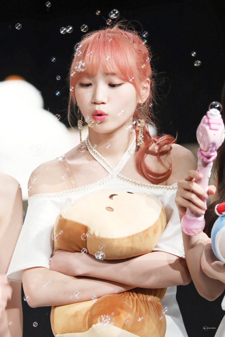 다시 보고싶은 아이즈원 자몽쌈. jpgif | 인스티즈