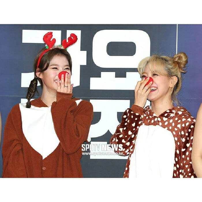 트와이스 지효 인스타그램 with 크리스마스 선물, 사나 | 인스티즈
