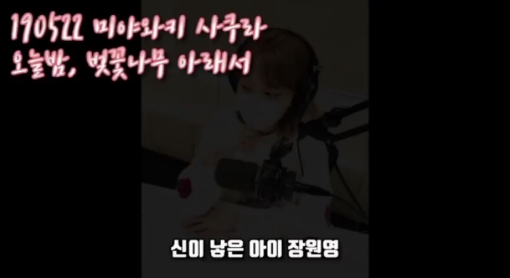 아이즈원) 사쿠라의 멤버 주접 1탄 (막내토끼 장원영) | 인스티즈