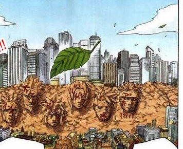 카카시는 경제호카게가 아니다 | 인스티즈