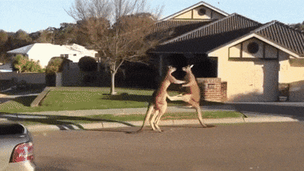 아저씨 차를 여기다가 대면 어떻게 해요! | 인스티즈