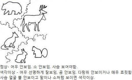 그림 한 장으로 알아보는 색약 테스트 | 인스티즈