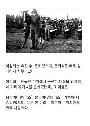 6.25전쟁때 활약한 군마 | 인스티즈