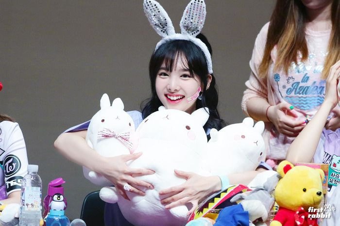 토끼 그 자체인 확신의 토끼상 트와이스 나연 | 인스티즈