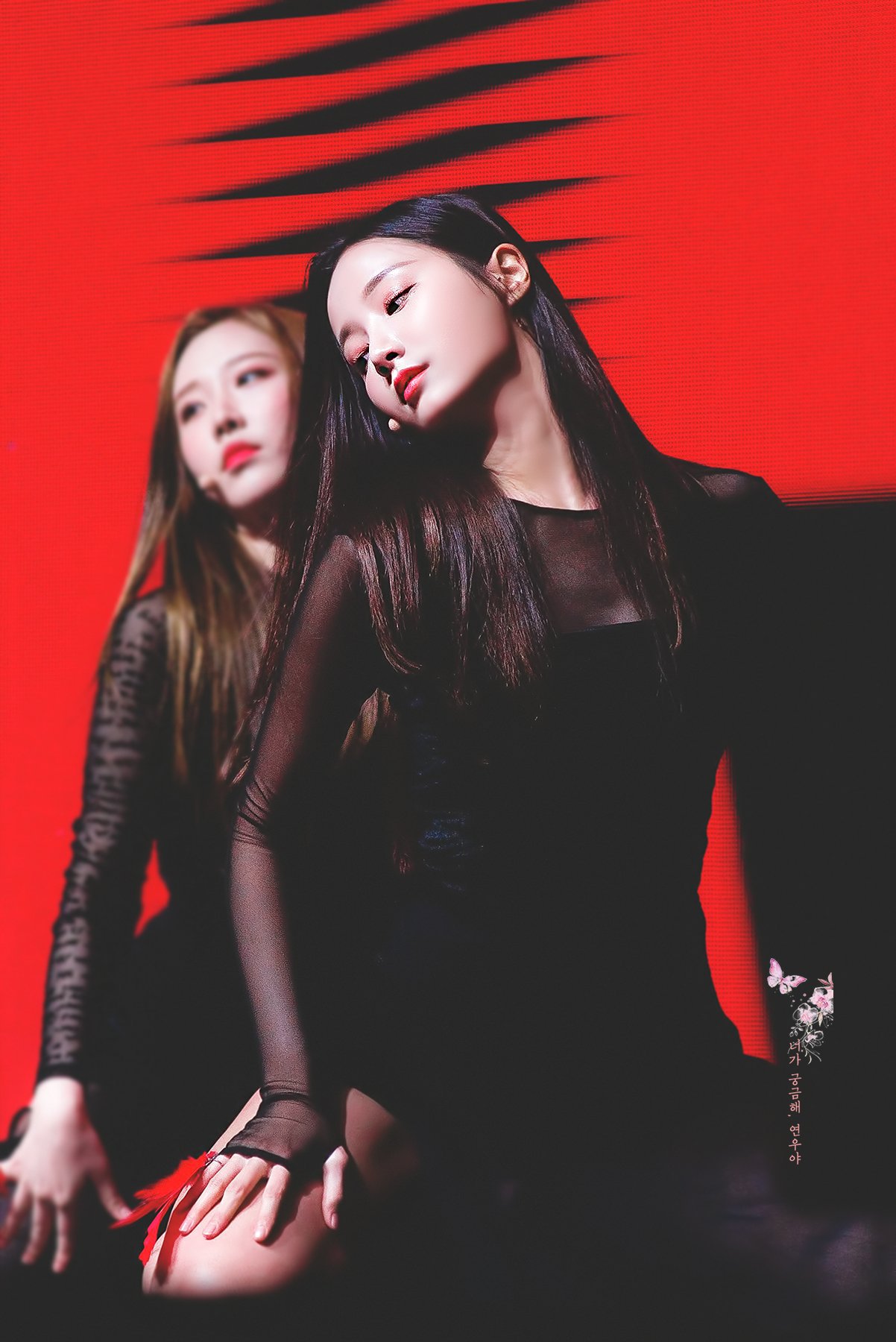 2019년 첫 모모랜드 연우.jpgif | 인스티즈