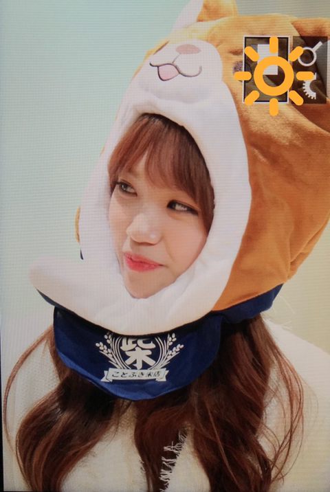 아이즈원) 시바유댕&amp;시바쌈무 | 인스티즈