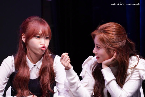 아이즈원) 워뇽광배쌈무 | 인스티즈