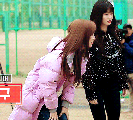 야외나와 놀아서 신나하는 미나리 | 인스티즈