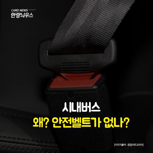 인명사고 많은 시내버스 안전벨트 없는 이유 궁금하죠? | 인스티즈
