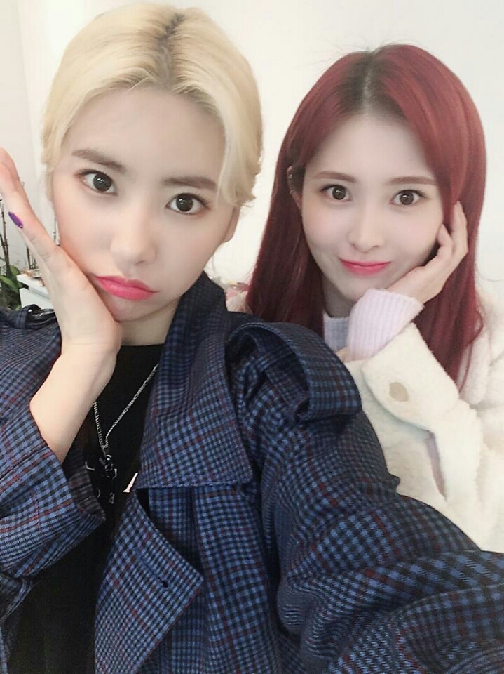 다이아 기희현 | 인스티즈