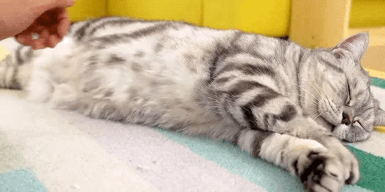 수리노을의 수리 | 인스티즈