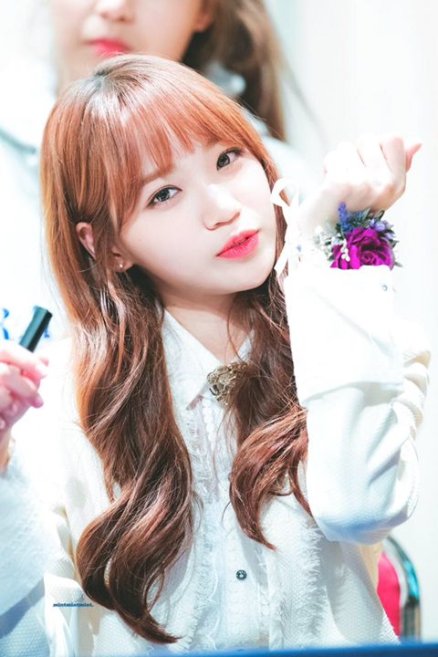 아이즈원) 시바쌈무 고화질 | 인스티즈