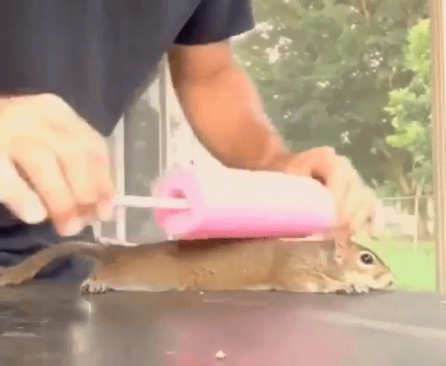 아이구 시원하다.gif | 인스티즈