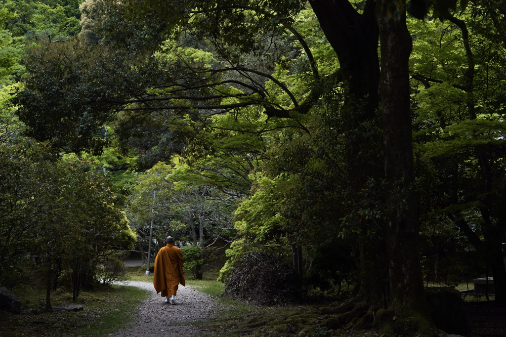 2018년 찍었던 사진 중 맘에 드는 것들 | 인스티즈